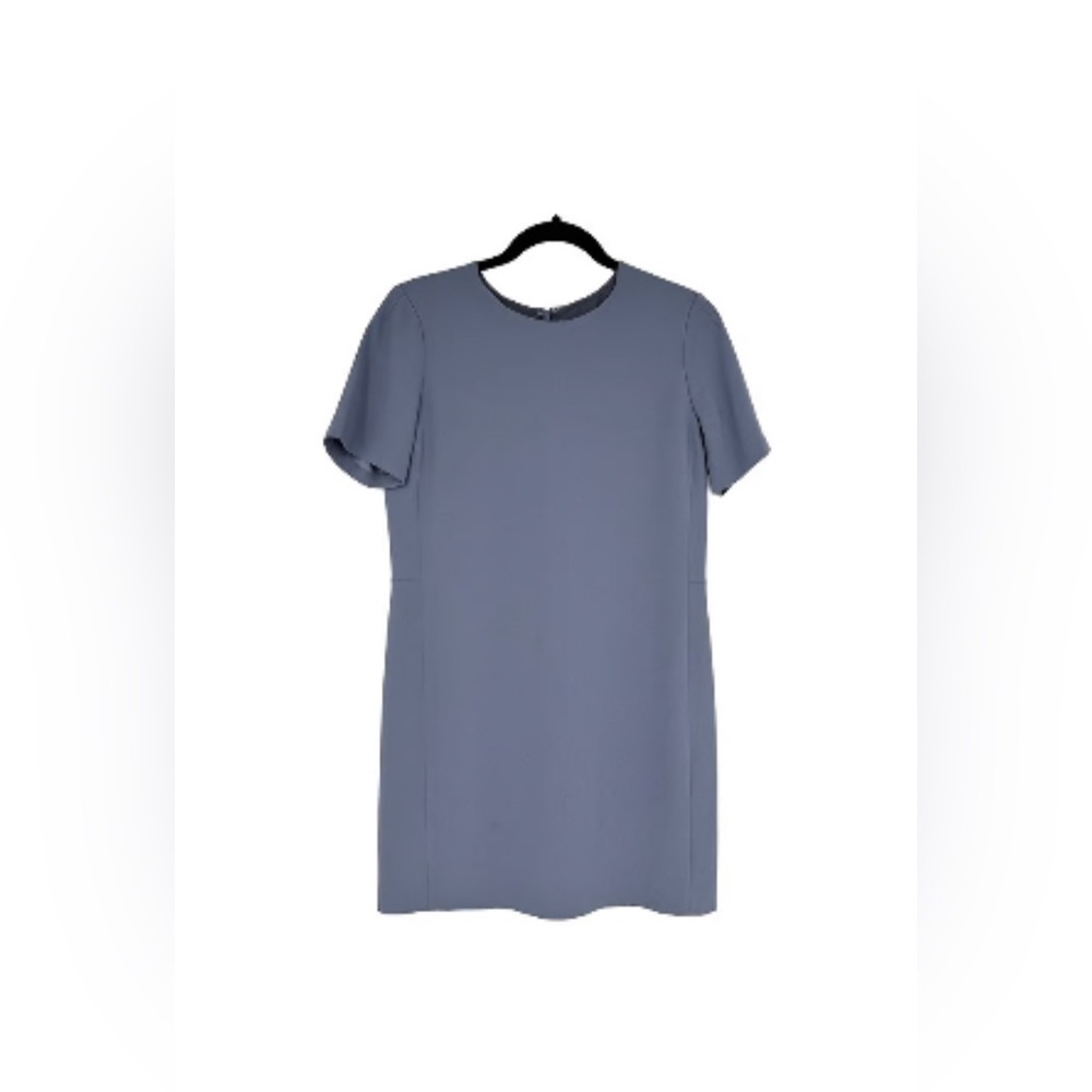 Aritzia Babaton Patricio Short Sleeve Shift Dress